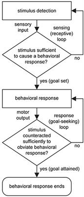 Editorial: Current Views of Hypothalamic Contributions to the Control of Motivated Behaviors